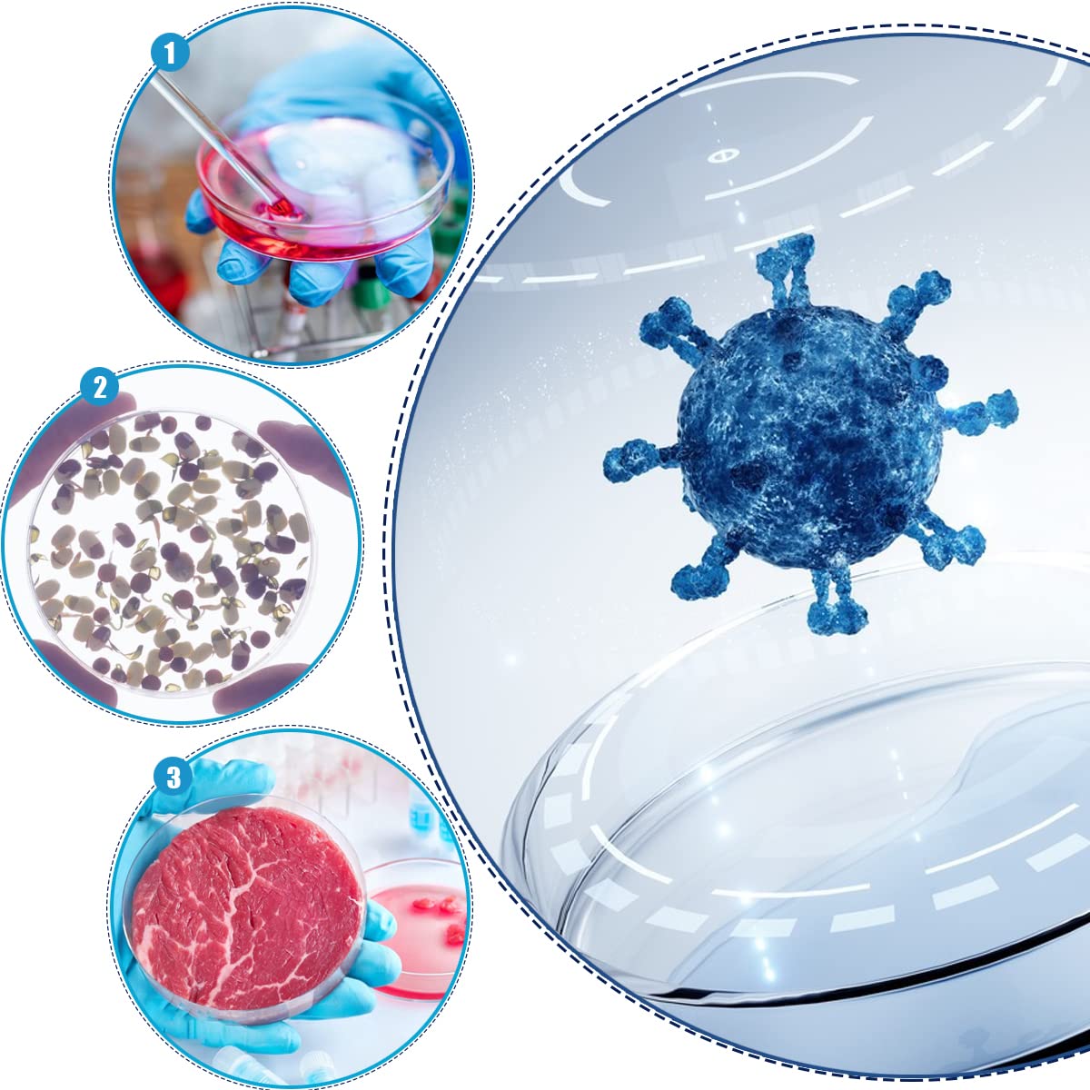 HONGECB Plastica Di Petri Con Coperchio, Piastra di Petri Sterilizzata Trasparente, Coltura Batterica Piastre Di Petri, per Cultura di Laboratorio ​Lievito Batterico, Con 10 Pipette, 90mm, 20 Pezzi