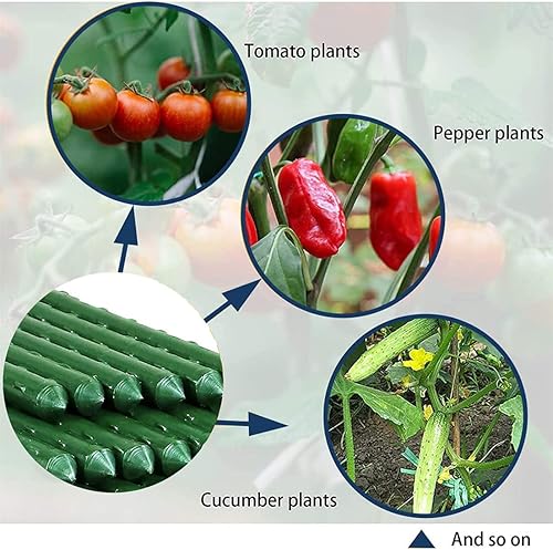 Miniatura 5 de Estacas de jardín, varillas resistentes de soporte para plantas, 20 estacas de núcleo de acero recubierto de plástico con 5 conectores para plantas