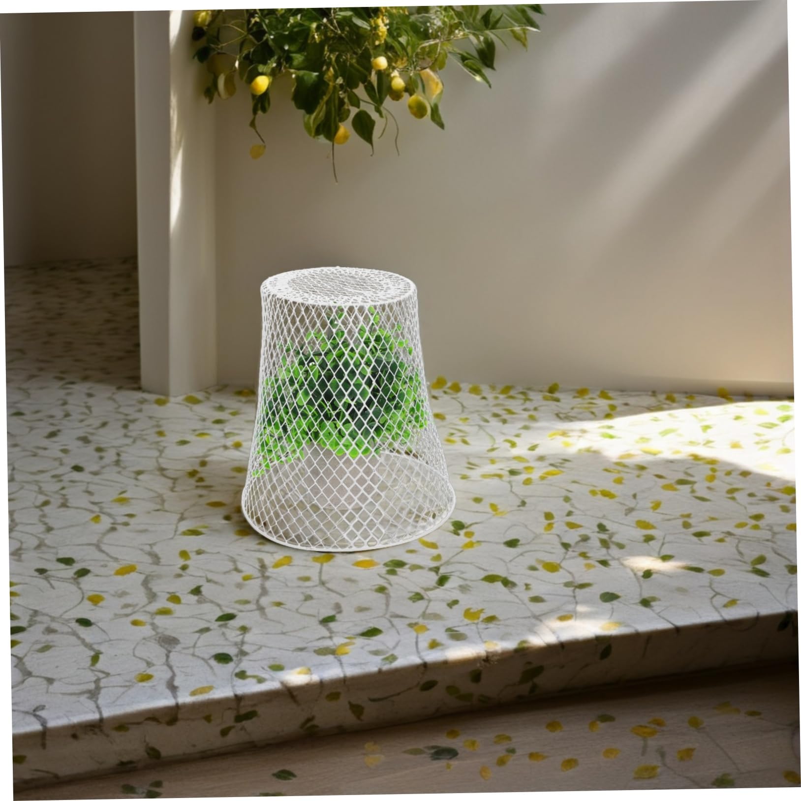 Levemolo Cloches Métalliques pour Plantes Protection Animaux Usage Jardin Balcon Facile Entretien Résistant Intempéries