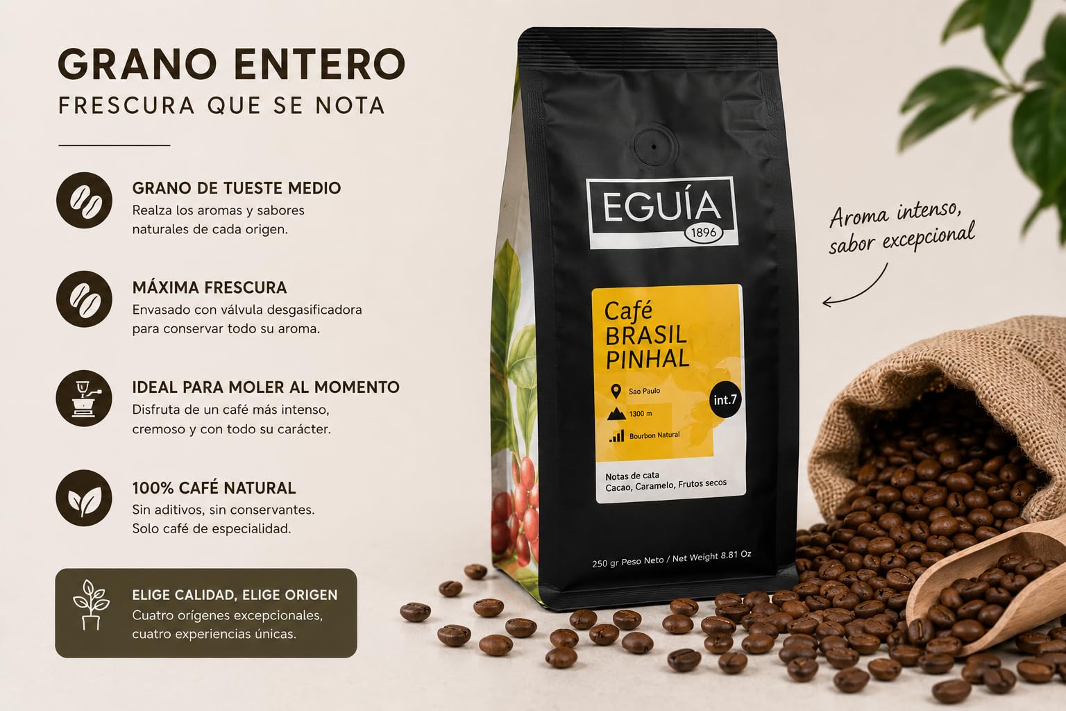 EGUIA Cafe en Grano Natural 100% Arabica - Pack Degustacion Espresso 4x250g - Cafes de Etiopia, Colombia, Guatemala y Brasil - Tueste Medio Gourmet Premium