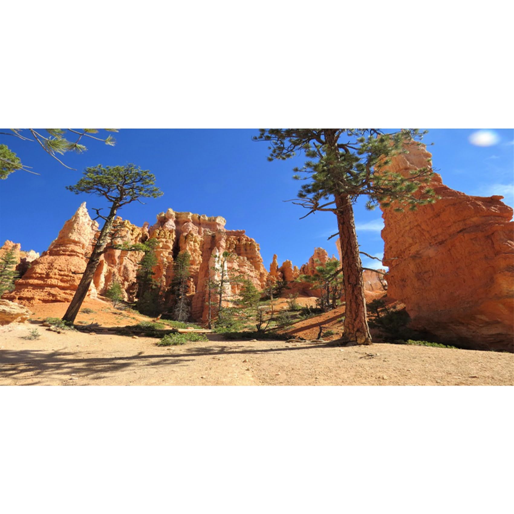 MIRRORANG 61x30cm Desert Terrarium Background Mountain Sun Sky Oasis Trees Reptile Habitat Background Fish Tank Aquarium Background