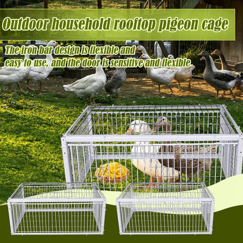 Cage à Oiseaux Portable, Petite, Épaisse et Cryptée, Piège Automatique pour la Collecte des Pigeons