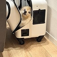 Amazon | GEX ジェックス OSOTOキャリー ローラーⅡ M ホワイト 軽量