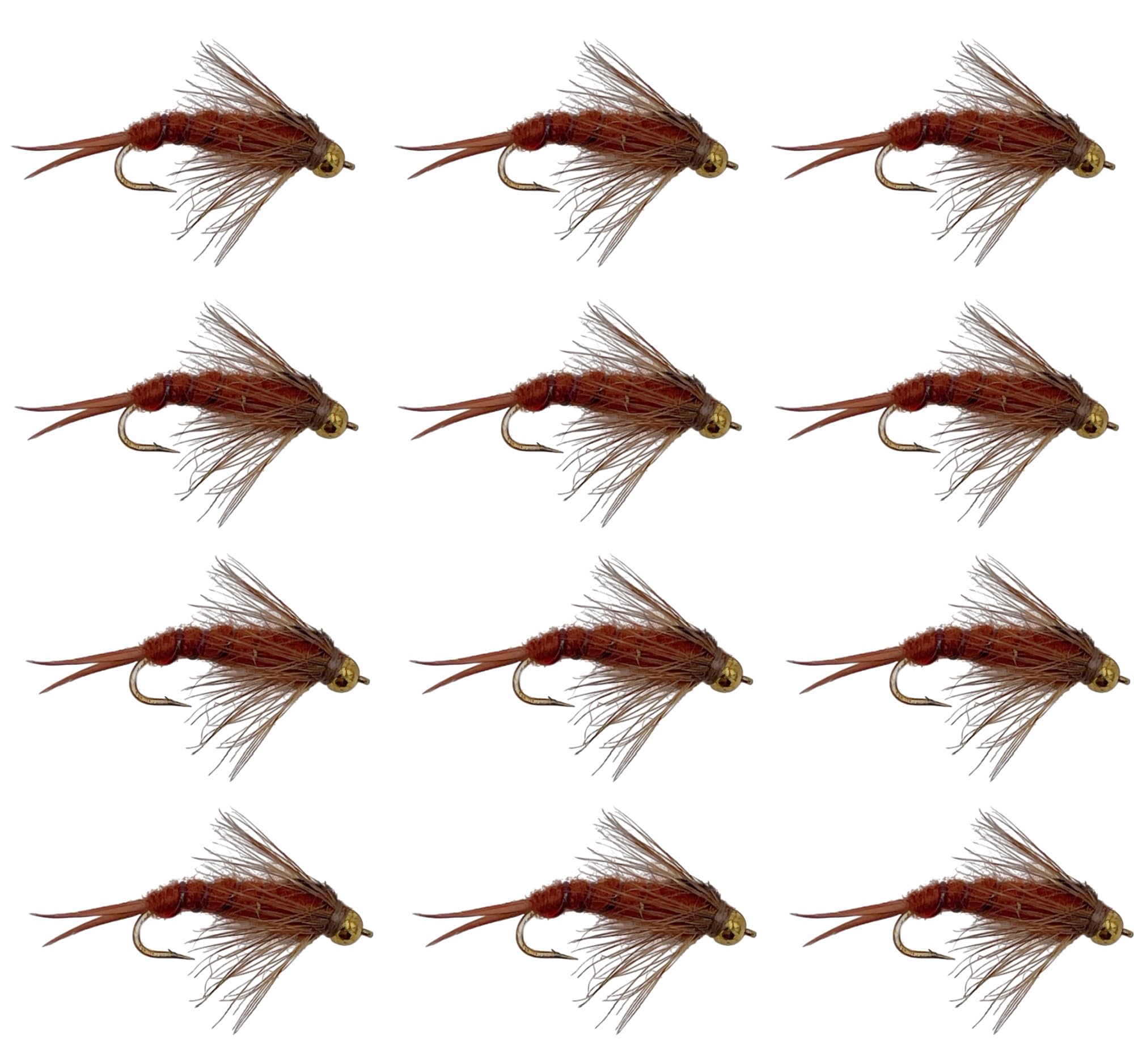 Feeder Creek Fly Fishing Flies | Bead Head and Regular Stonefly Nymphs | 12pc Wet Lures | Trout and Bass Flies | Fly Fishing Assortment