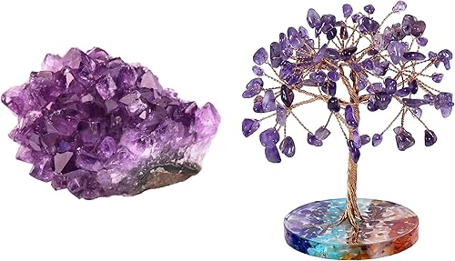 Rockcloud Racimo de cristal de cuarzo de amatista púrpura natural, árbol de dinero de alambre de cobre con base redonda de resina colorida para