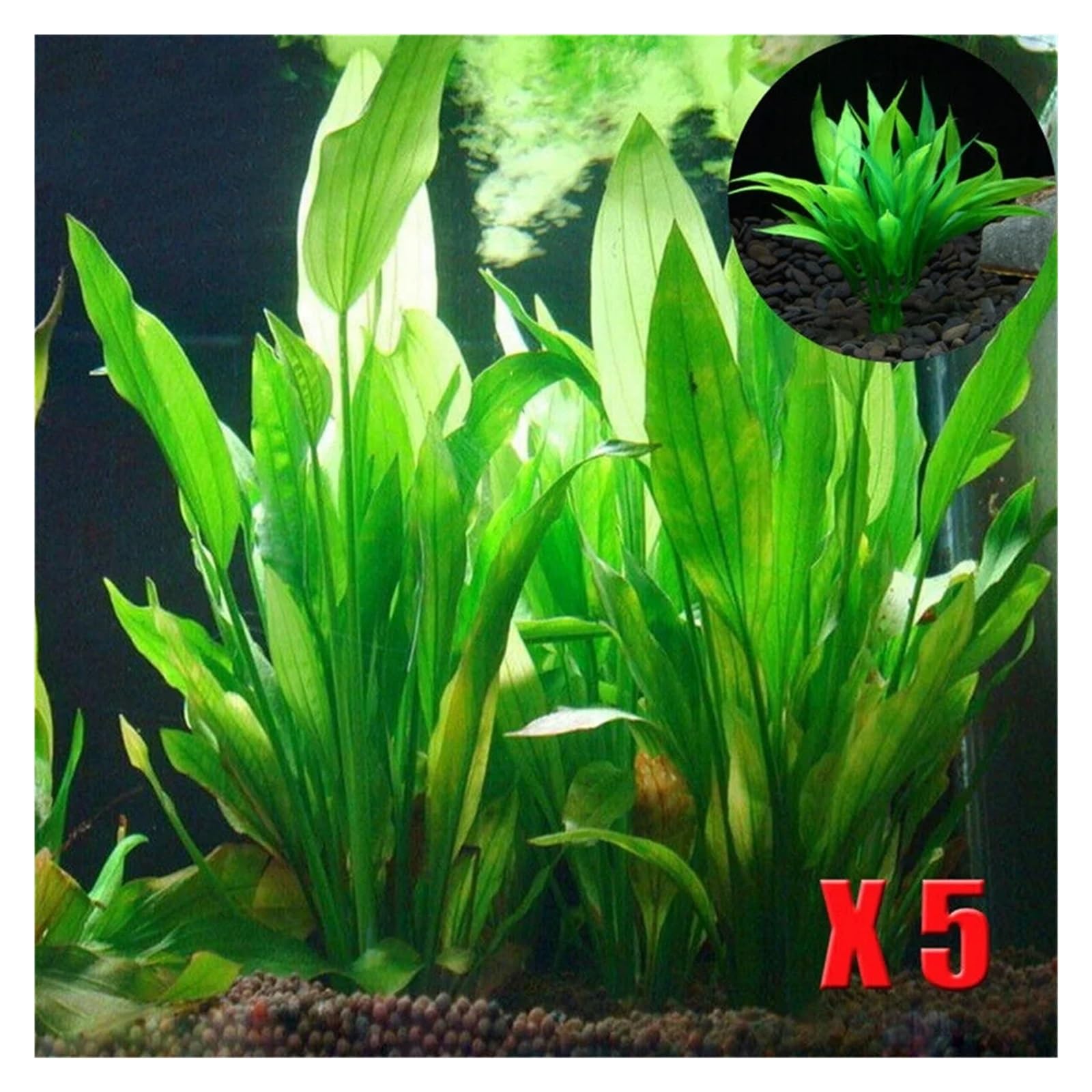 Plantas Artificiales para acuarios, Plantas Artificiales for Acuario Verde 11x2x3cm 10uds