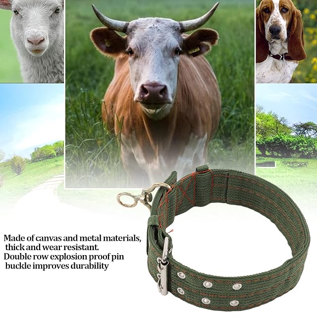 Foto 2 de 8 de Hozee Collar de Corbata de Oveja