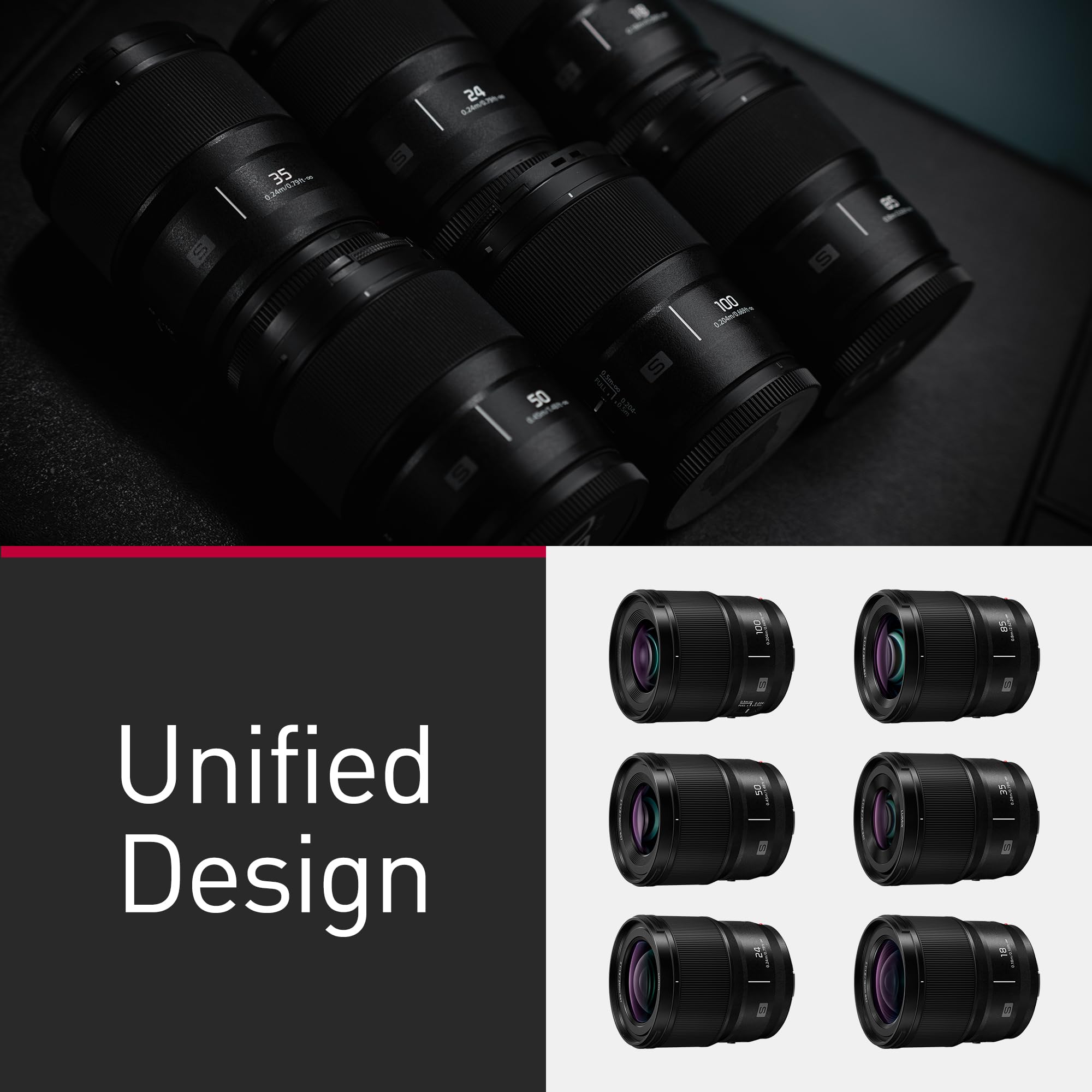 Panasonic Lumix S-E100 100mm F2.8 Macro, Obiettivo per Fotocamera Full Frame, Compatto e Leggero, 298g, Motore Lineare a Doppia Fase, Ingrandimento Dimensione Reale 1:1, Ottimale per Video, Nero