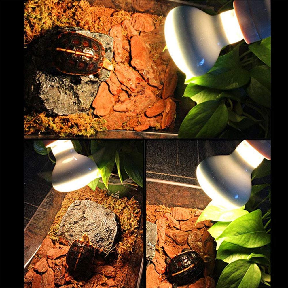 Lampada Riscaldante Per Rettili 100W - Luce Rossa Infrarossi | Per Terrari | Vetro Resistente | Attacco E27 | Per Serpenti, Gechi E Tartarughe - Foto 8