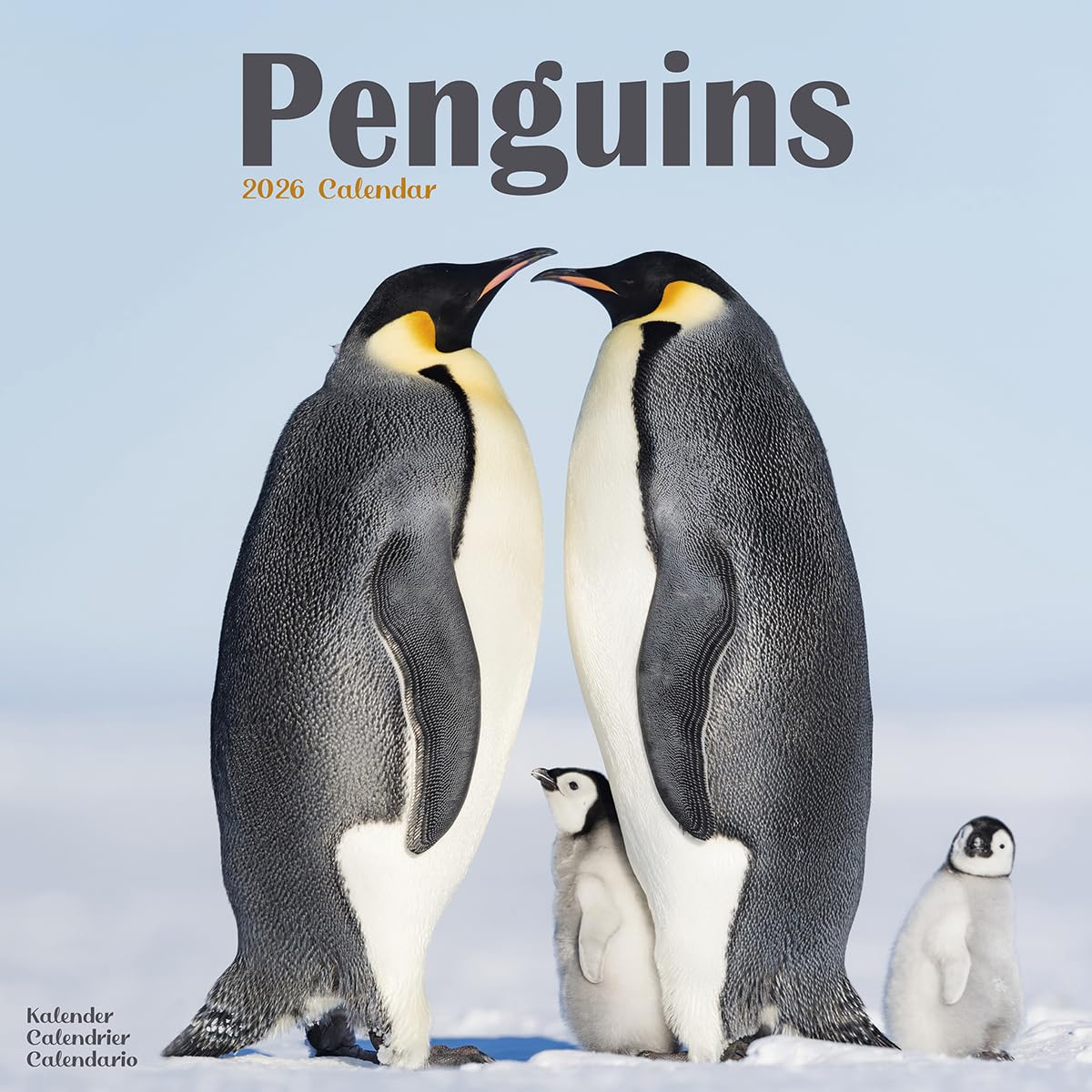 Penguins Calendar 2026 | 12 Month Wall Calendar | Avonside Publishing | Plastic Free Packaging