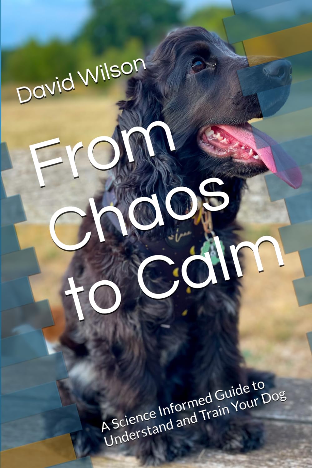 From Chaos to Calm: A Science Informed Guide to Understand and Train Your Dog