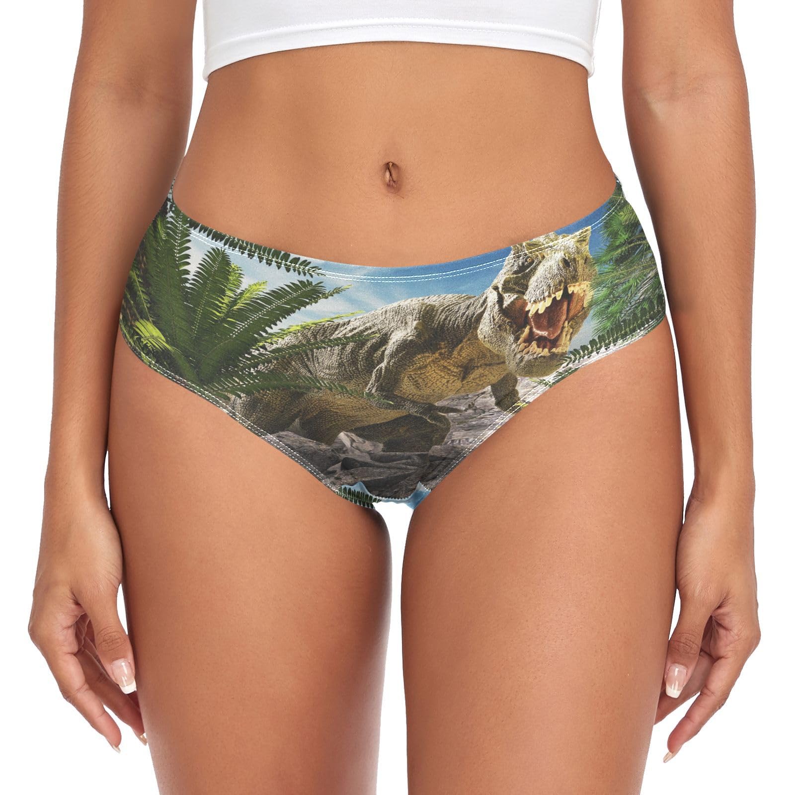 YOUJUNER Womens Underwear Dinosaur Comfy Knickers Ladies Basic Briefs Hipster Pants for Girls Multicolor