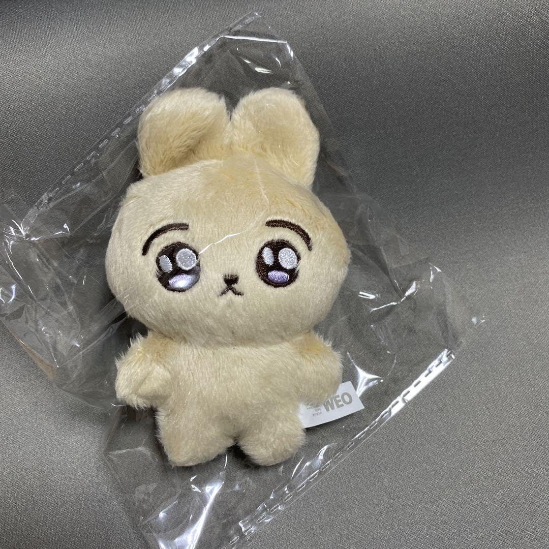 bts ジョングクぬいぐるみ10cm 新品マスター