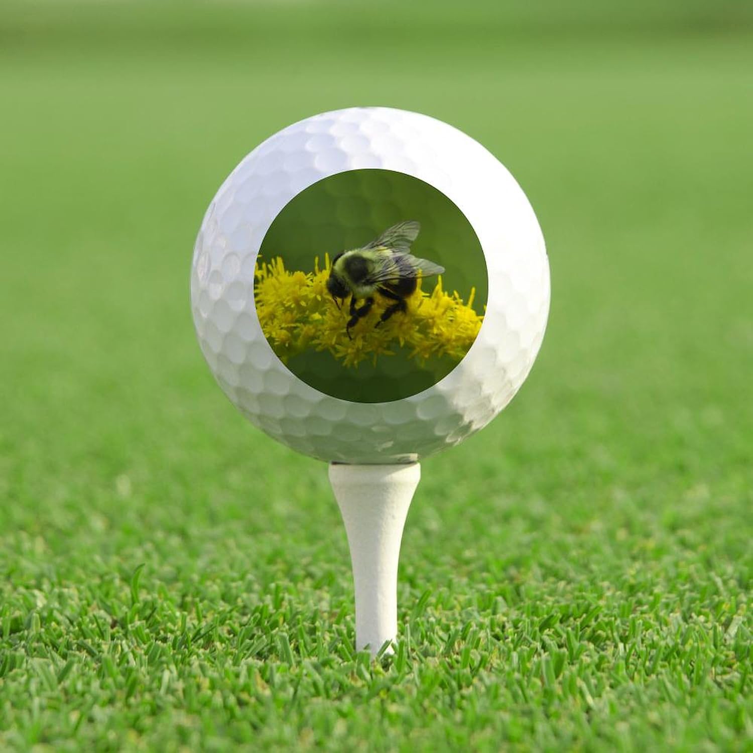 CafePress Bumblebee Novelty Golf Balls (Pk of 12)