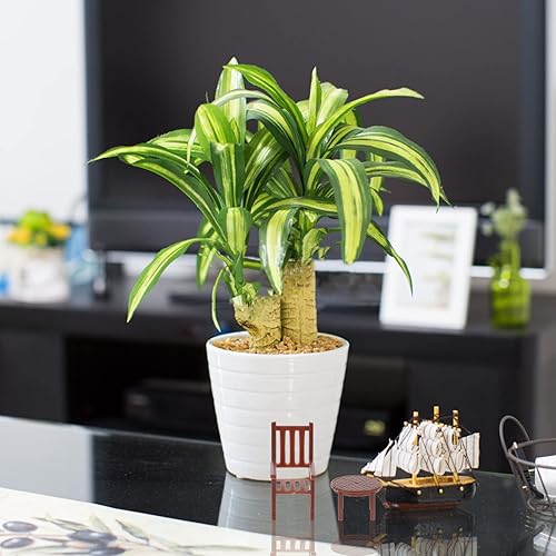 Miniatura 7 de Toyvian Juego de 4 juegos de muebles en miniatura para casa de muñecas, mesa y silla de casa, juego 1 50 muebles de plástico para bricolaje jardín