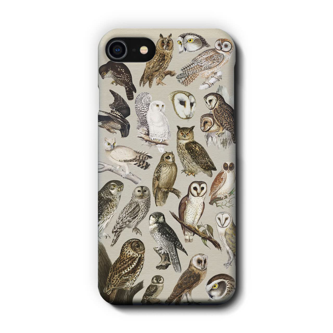 ふくろうページ‼️ 首かしげふくろうさん（小サイズ） | 京都嵯峨 寿庵