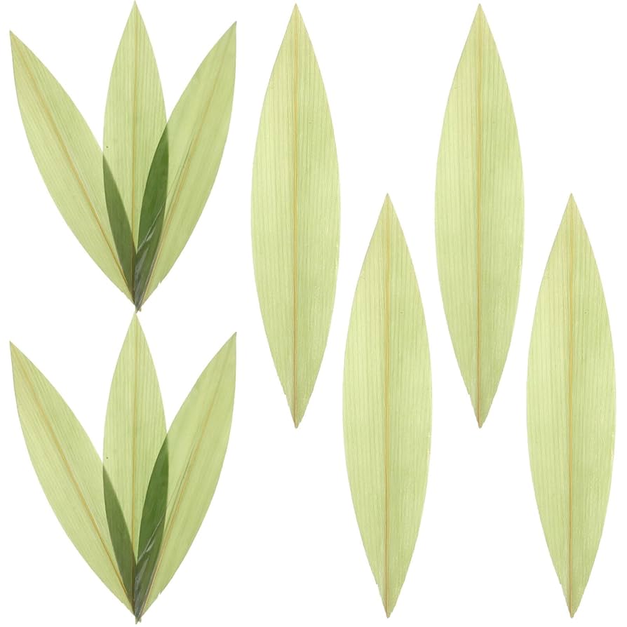 竹の葉デザイン皿 直径約25 cm mg809201-1.jpg