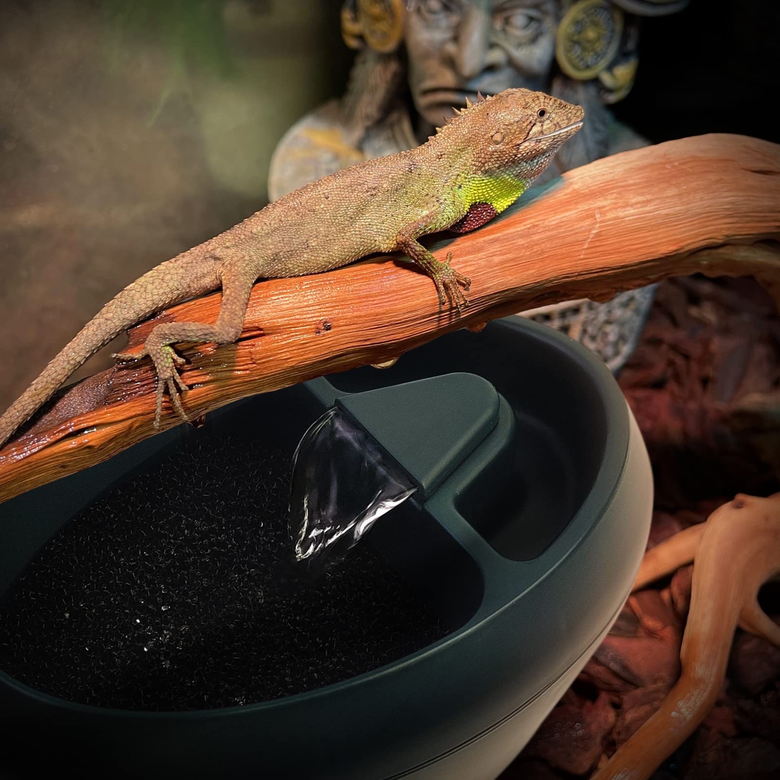 MYGIIKAKA Reptilien-Trinkbrunnen Automatisches Zirkulationssystem mit Trog für Chamäleon Bartdrache Schlange Eidechse Schildkröte
