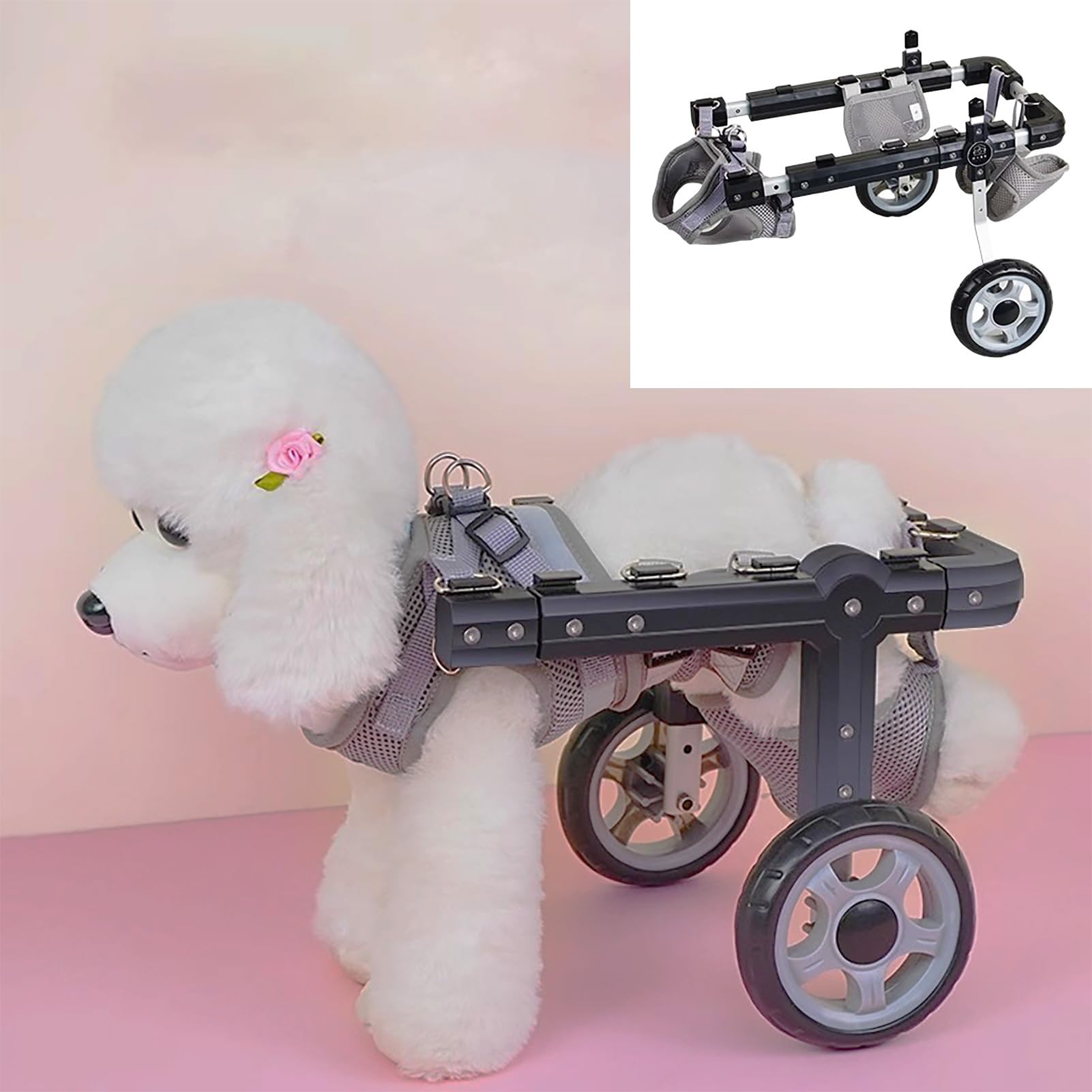 Fauteuil pour animaux handicapés redonnez la joie de courir à votre compagnon