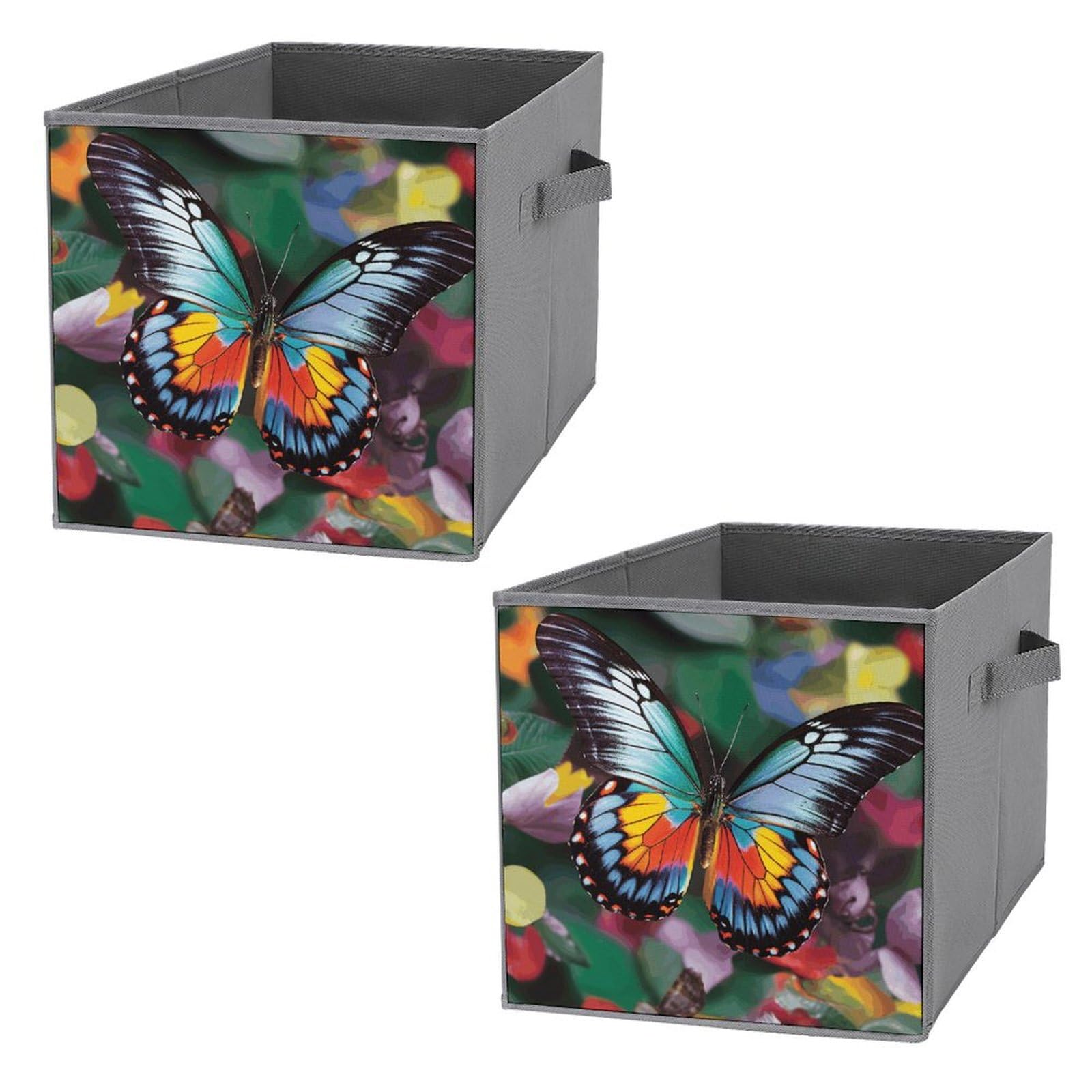 Boîtes de rangement colorées papillon : bacs pliables et empilables pour étagère