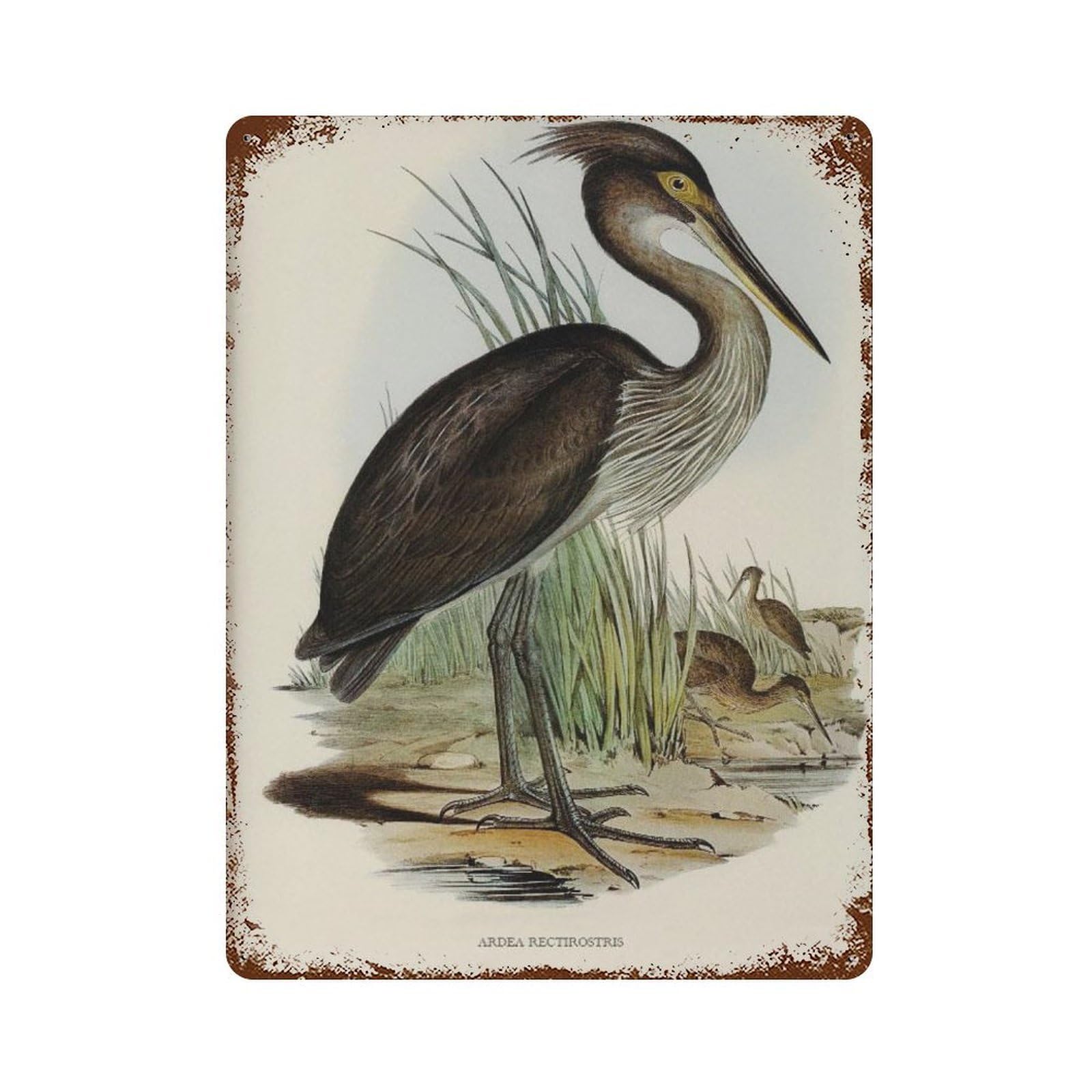 xiaoxiaoshen Great-billed Heron French Country Decor Wall Decor Art Metal Tin Poster Modern Home Decor Art Home Bar Shop Decorations Vintage Sign 40x30cm