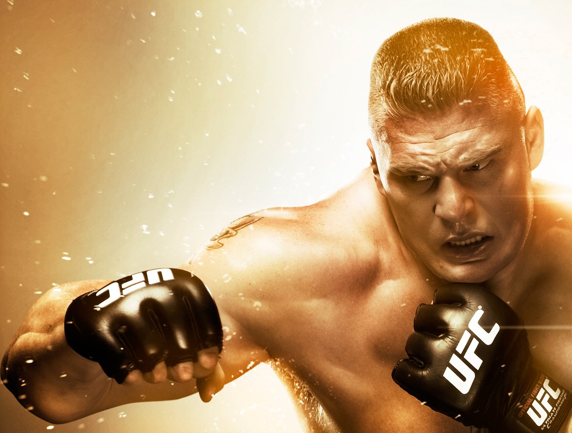 THQ UFC Undisputed 2010