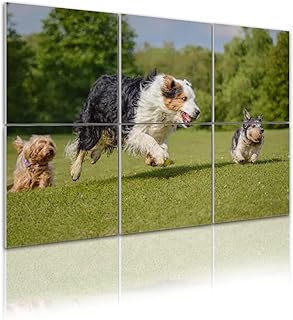 6 Pack Art Acoustic Panels Archie Billy Bertie Chasing After Same Ball Pure Carnage Sound Absorbing Panel 48"x72" Soundproof Wall Panels Acoustic Wall Art for Studios, Office, Theaters