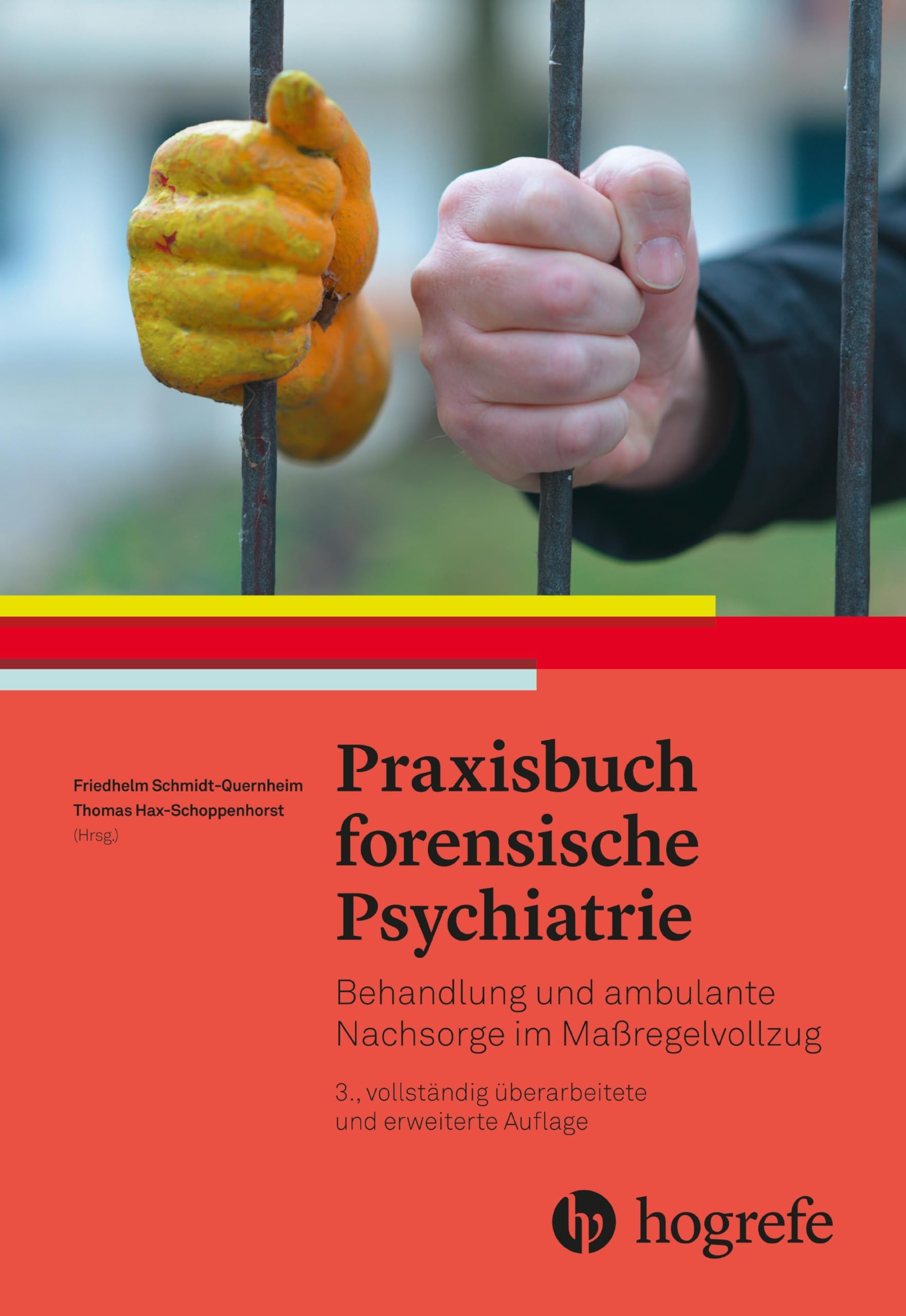 Praxisbuch forensische Psychiatrie: Behandlung und ambulante Nachsorge im Maßregelvollzug