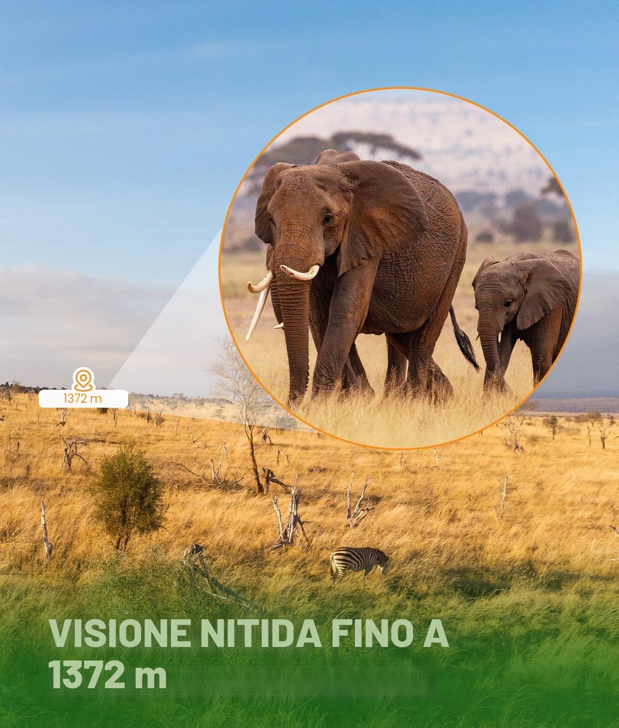 PAHTTO Monoculare 80x100 Zoom, telescopio monoculare con supporto per smartphone e treppiede estensibile, telescopio monoculare impermeabile per birdwatching, caccia, viaggi e concerti sportivi