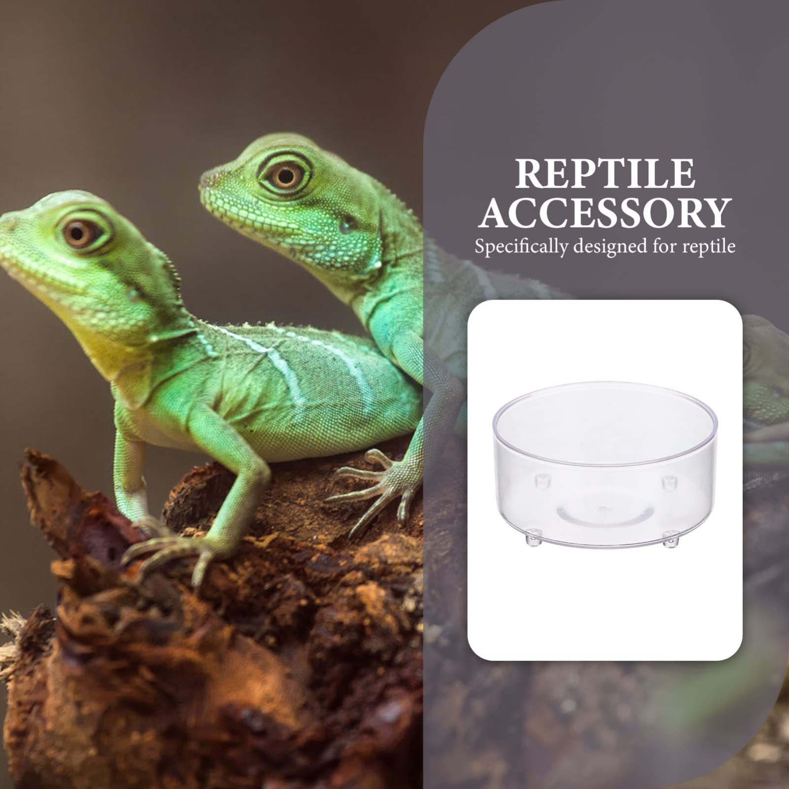 150 Piezas Bebedero para Mascotas Plato de Agua de Tortuga reptiloil Animal Vaso multifunción para Comida de Reptiles Plato de Agua de Reptil Mini Bandeja de Agua Caja de Reptiles