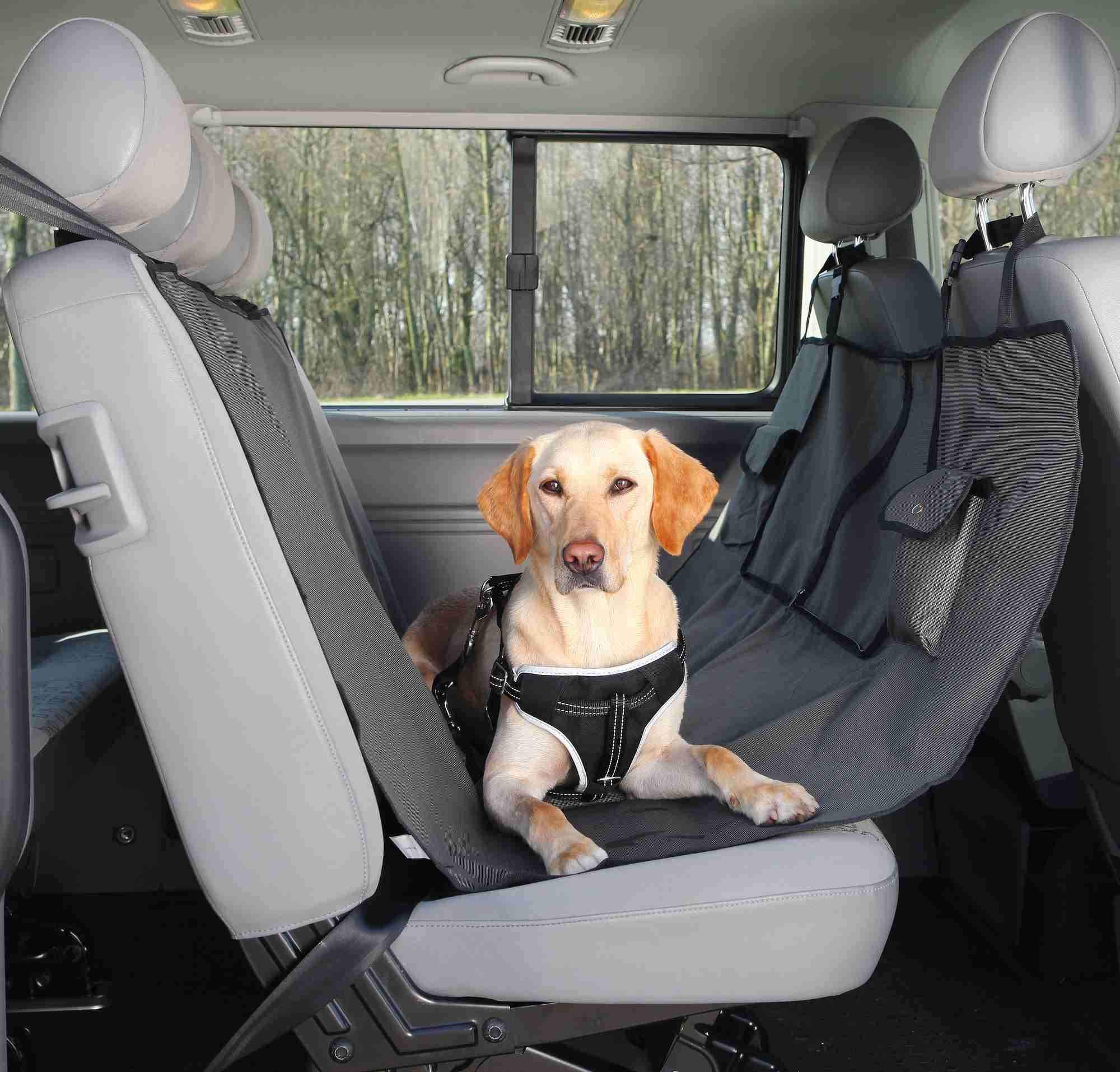 TRIXIE: - Car Seat Cover with Two Pockets - 1.40 × 1.45 m (B09N3PGSLH) Amazon Price History, Amazon Price Tracker
