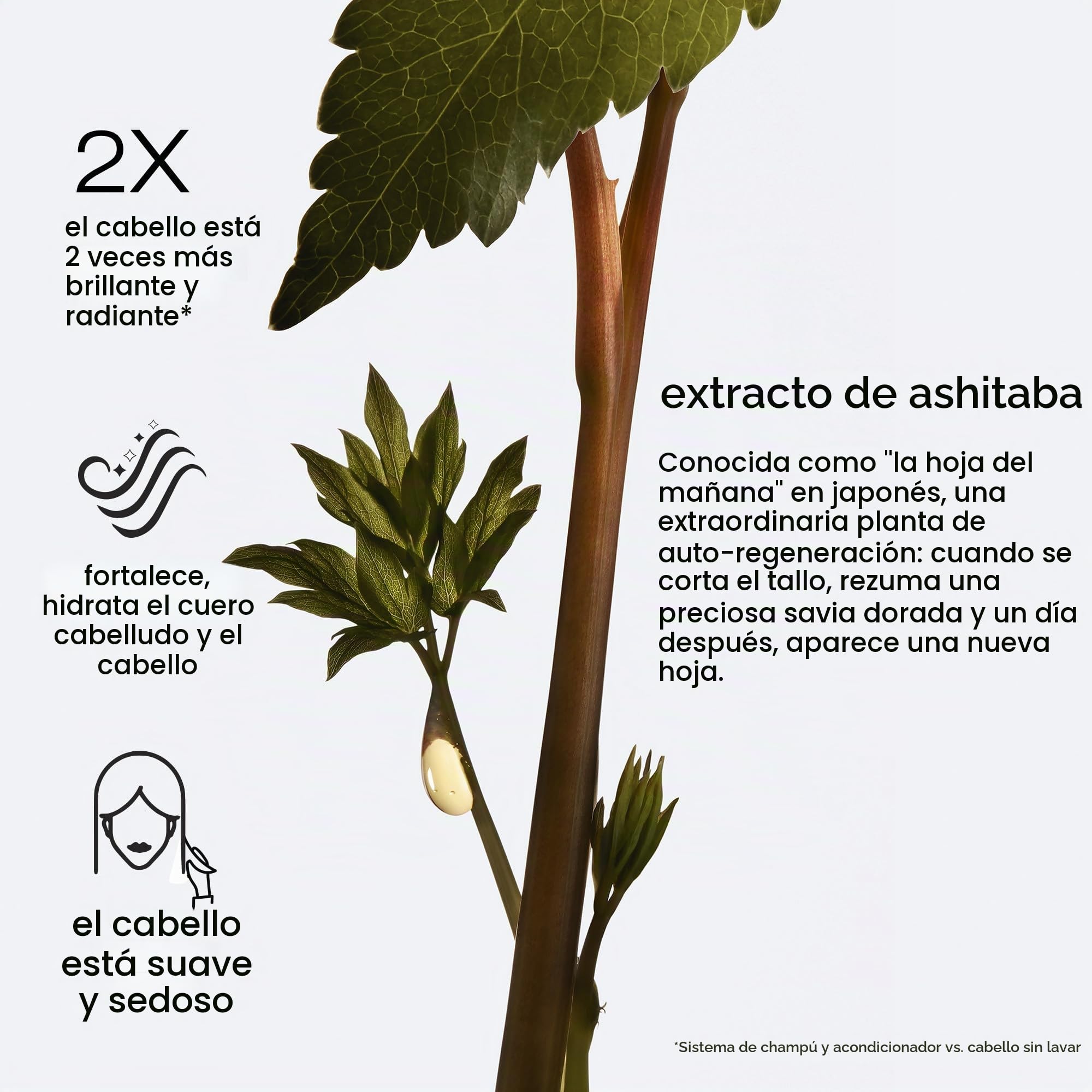 Shu Uemura, Ashita Supreme, Mascarilla Revitalizante Intensiva, Para Todo Tipo de Cabello, Con Extracto de Ashitaba, Reduce el Envejecimiento del Cabello para Más Brillo y Flexibilidad, 200ml