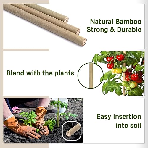 Miniatura 2 de BOVITRO - Estacas para plantas, palos de bambú natural de jardín de 18 pulgadas, 20 estacas de soporte para plantas para tomates, frijoles, verduras