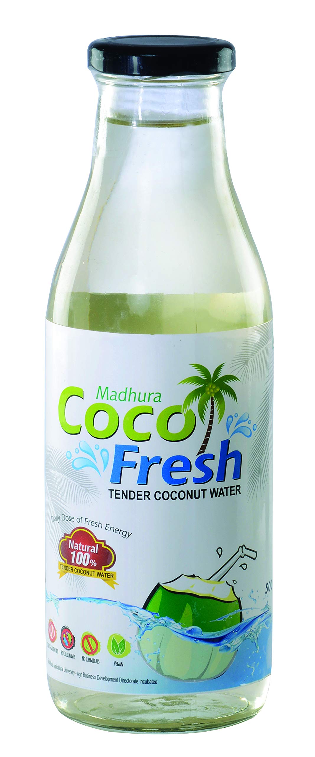 Madhura CocoFresh Natural Tender Coconut Water , 500 ml (Glass Bottle Pack of 6)