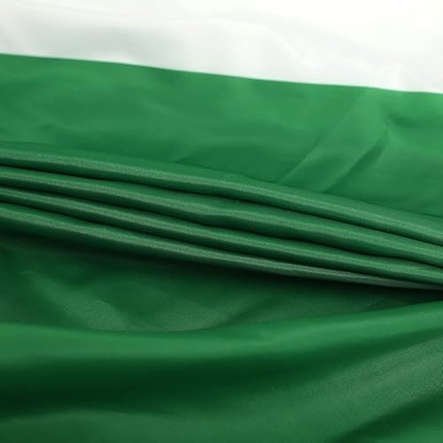 Miniatura 2 de Bandera nigeriana plisada de Nigeria de 3 x 6 pies, 2 banderas plisadas de Nigeria para interiores y exteriores, decoración de porche delantero,