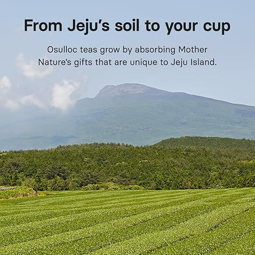Miniatura 8 de OSULLOC Ginger Young-Gyul - Té verde con mandarina y especias, mezcla de apoyo a la inmunidad, 20 unidades, 1.27 onzas
