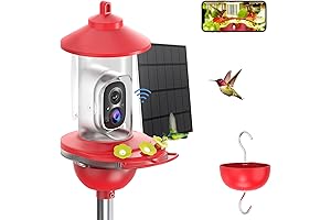 Anna's Best Copper Hummingbird Feeder