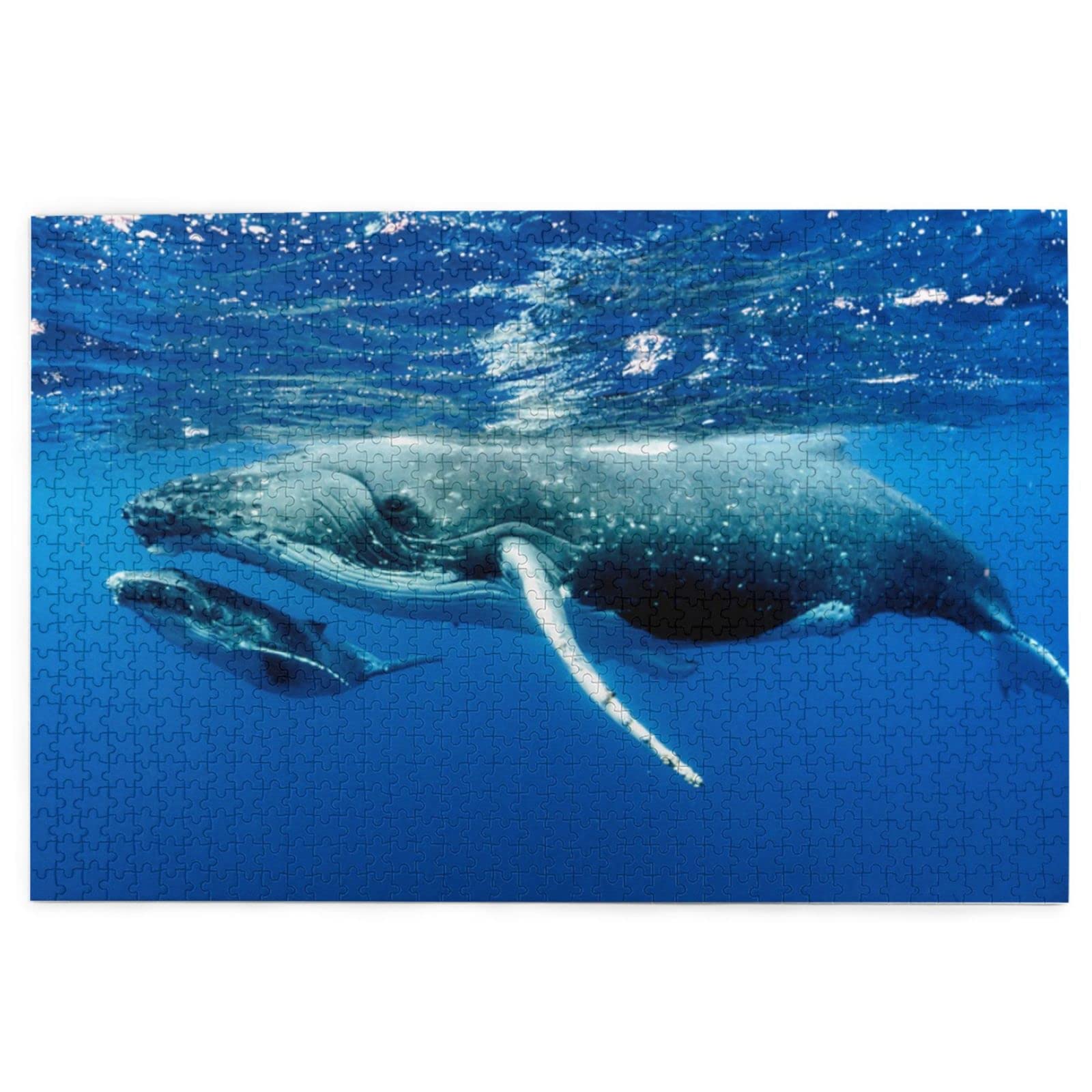 Amazon.co.jp: 鯨の親子 1000ピース ジグソーパズル 木製 絵のパズル