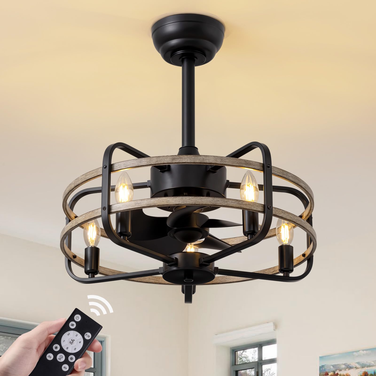 NOXARTE 20 Inch Caged Ceiling Fan with Light and Remote, Flush