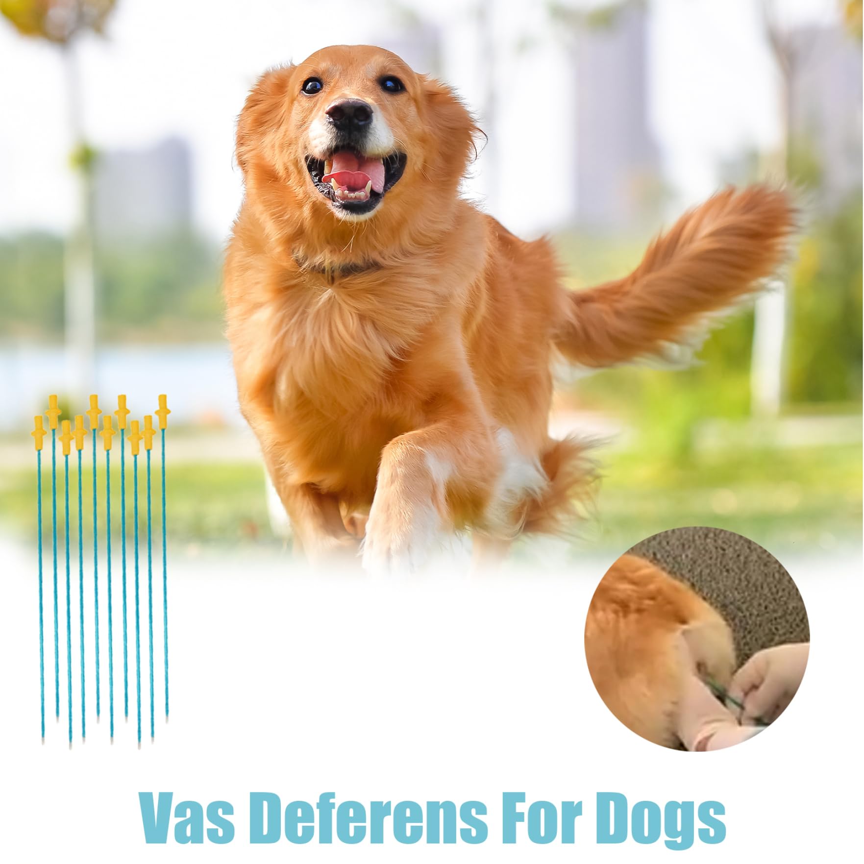 Tube de cathéter pour l'insémination des Chiens 50pcs Kit d'insémination Artificielle jetable pour Chiens Round Head Flexible 12 Supplies de Reproduction pour pour Les Petits et Moyens