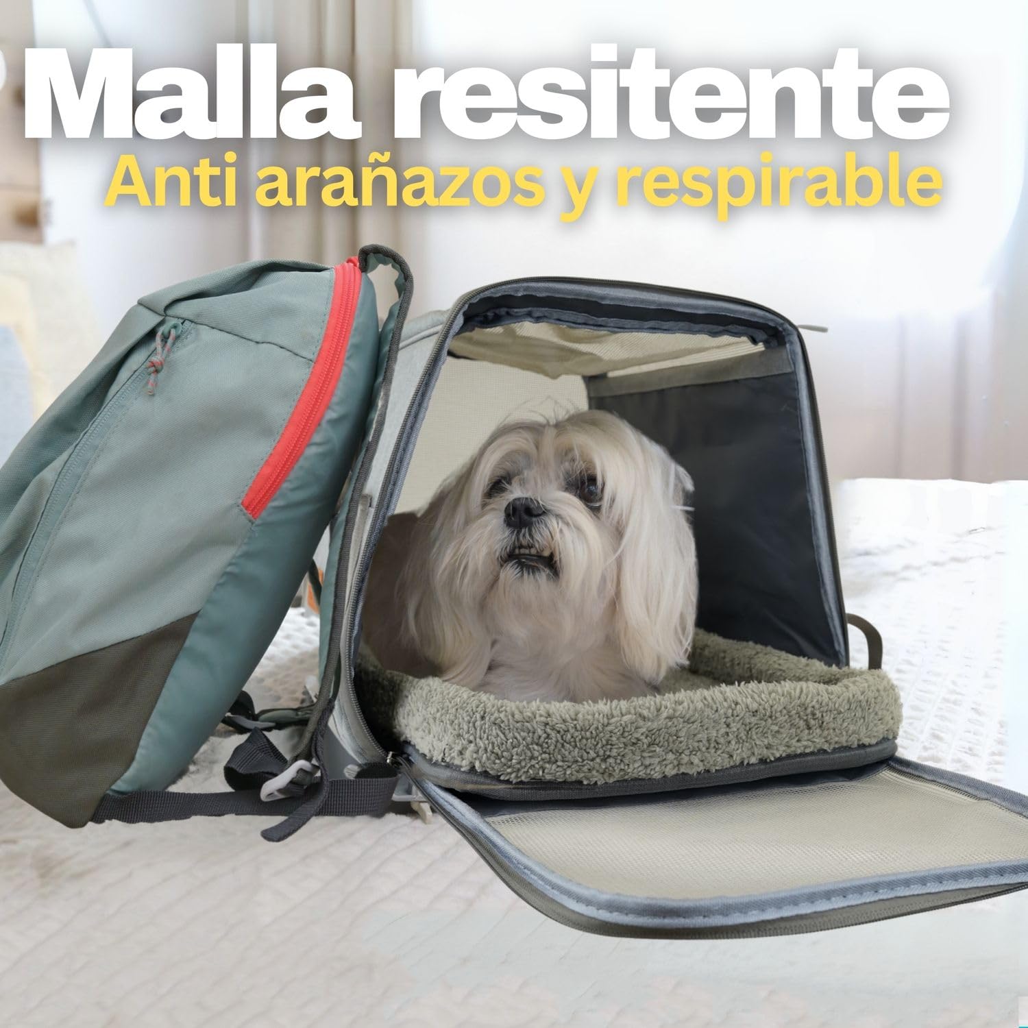PEPPER® Transportbox für kleine Hunde (bis zu 7 kg) | faltbare Tragetasche zugelassen für Flugzeug und Auto | 360-Grad-Belüftung, waschbares Kissen und Tränke im Lieferumfang enthalten