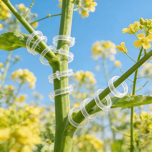Miniatura 6 de Secured Plastic Plant Clip, 2026 Plant Support Clips Garden Climbing Vines Fixing Clip, Upgraded Plant Support Clips Reusable Garden Clips Trellis