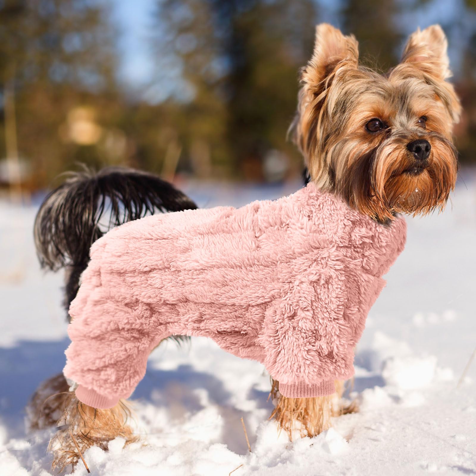 Pyjama pour chiens de petite taille, pull à col roulé – Chandail à col roulé – Vêtements épais et chauds – Manteau en polaire pour temps froid – Pyjama d'hiver pour chihuahua, yorkshire, animal de