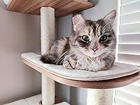 Review Image by TheLakeShow419 TheLakeShow419