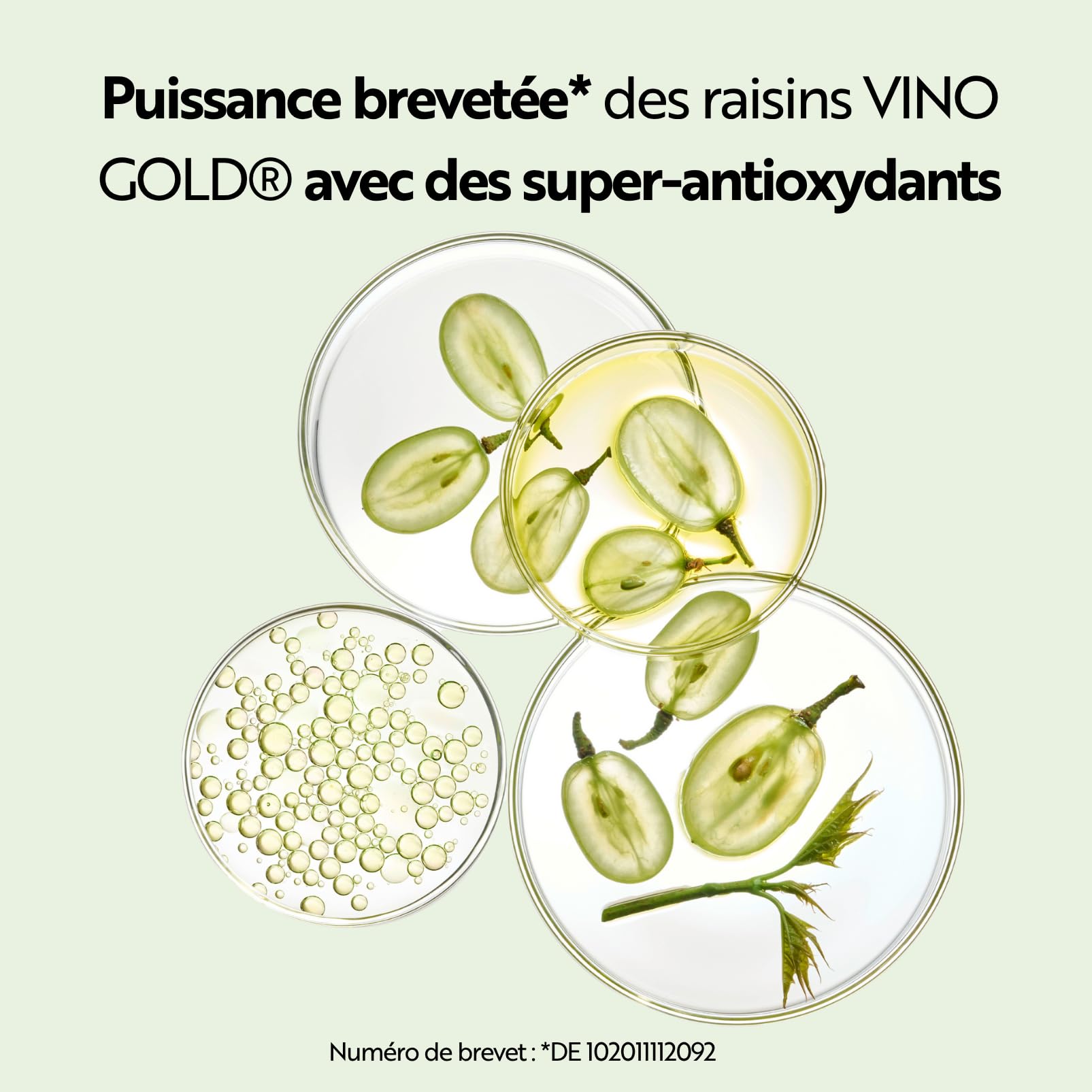 M. Asam Vino Gold Crème Visage 24H (100 ml) | Crème de jour & crème de nuit 24h Contre les rides & ridules, Protection contre le vieillissement prématuré, Anti-âge