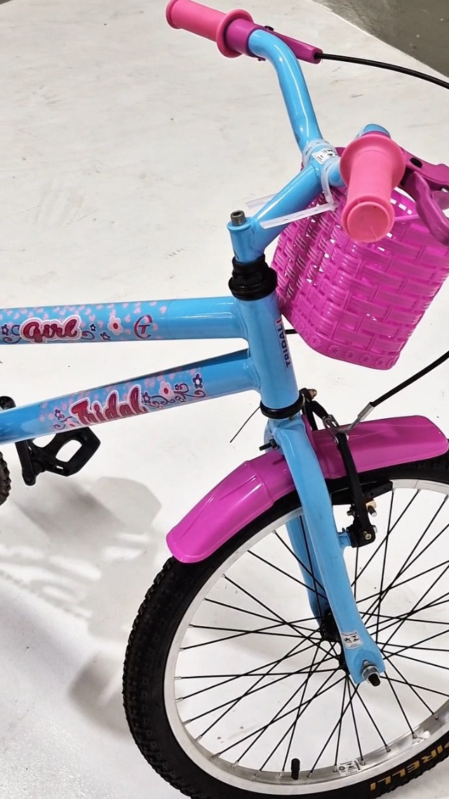 Bicicleta Aro 20 Infantil MTB Girl Com Roda Lateral Tridal Bike