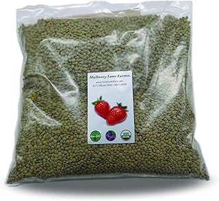 Green Lentils 5 Pounds Whole USDA Certified Organic, Non-GMO, Bulk, Prod...