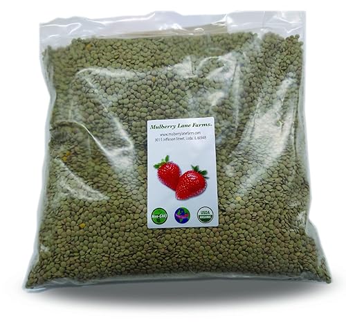 Lentejas verdes de 5 libras enteras certificadas por USDA orgánicas, sin OMG, a granel, producto de EE. UU. Mulberry Lane Farms