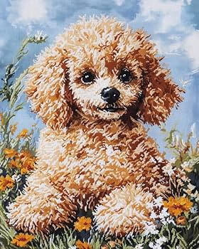 Amazon.co.jp: プードル デジタル油絵 数字油絵,動物 犬,数字