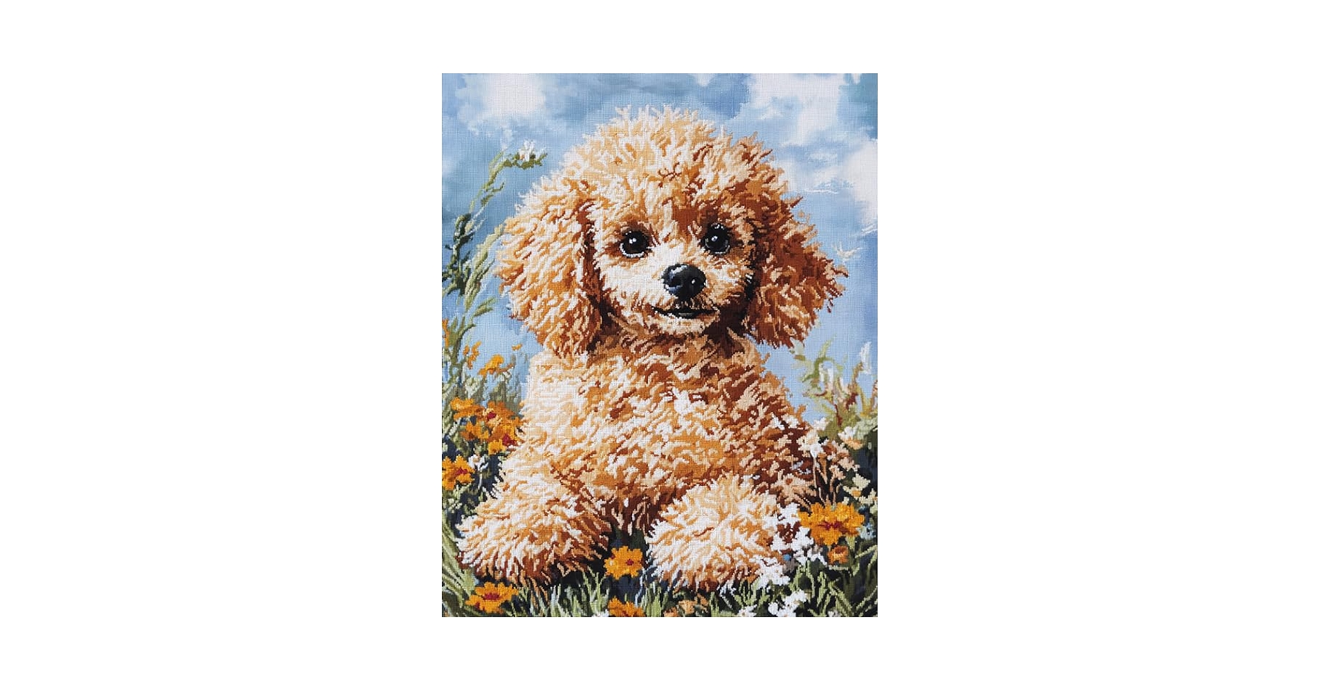 Amazon.co.jp: プードル デジタル油絵 数字油絵,動物 犬,数字塗り絵 手